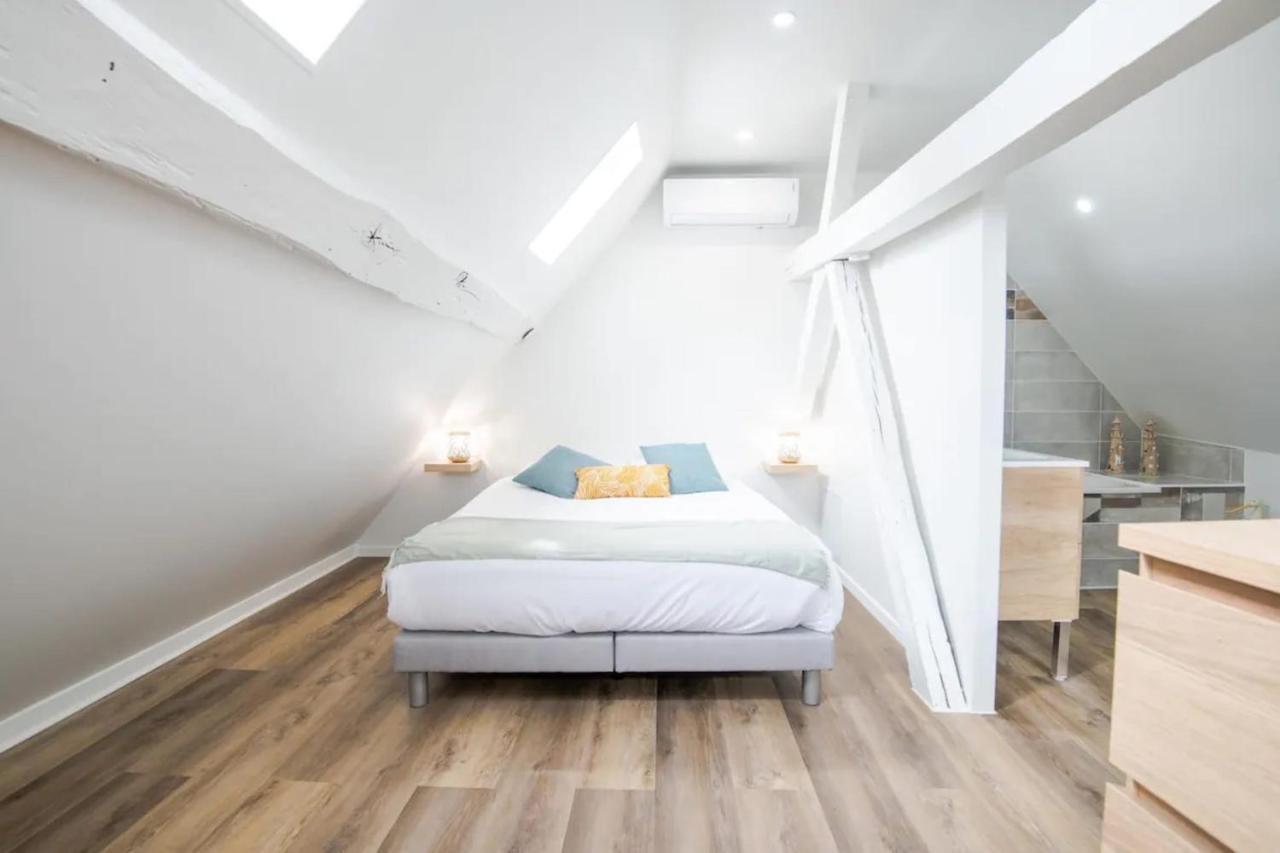 Comfortable Air-Conditioned T3 In The Heart Of Amboise With Parking Space エクステリア 写真