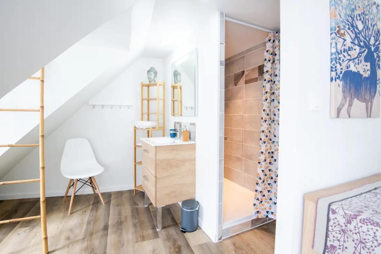 Comfortable Air-Conditioned T3 In The Heart Of Amboise With Parking Space エクステリア 写真